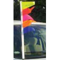 Rainbow Color- Metallic Fringe Pennants